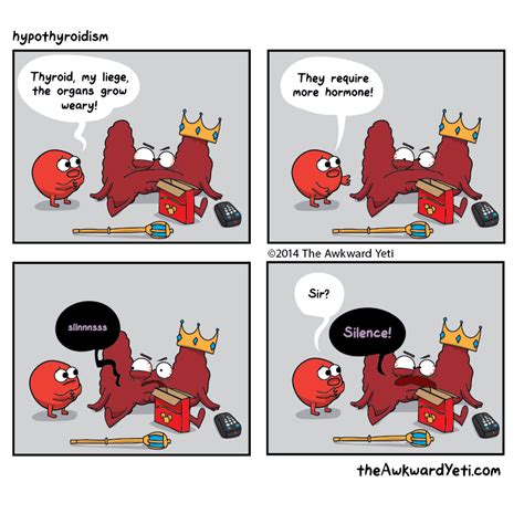 awkward yeti thyroid|Hyper vs hypothyroidism .
